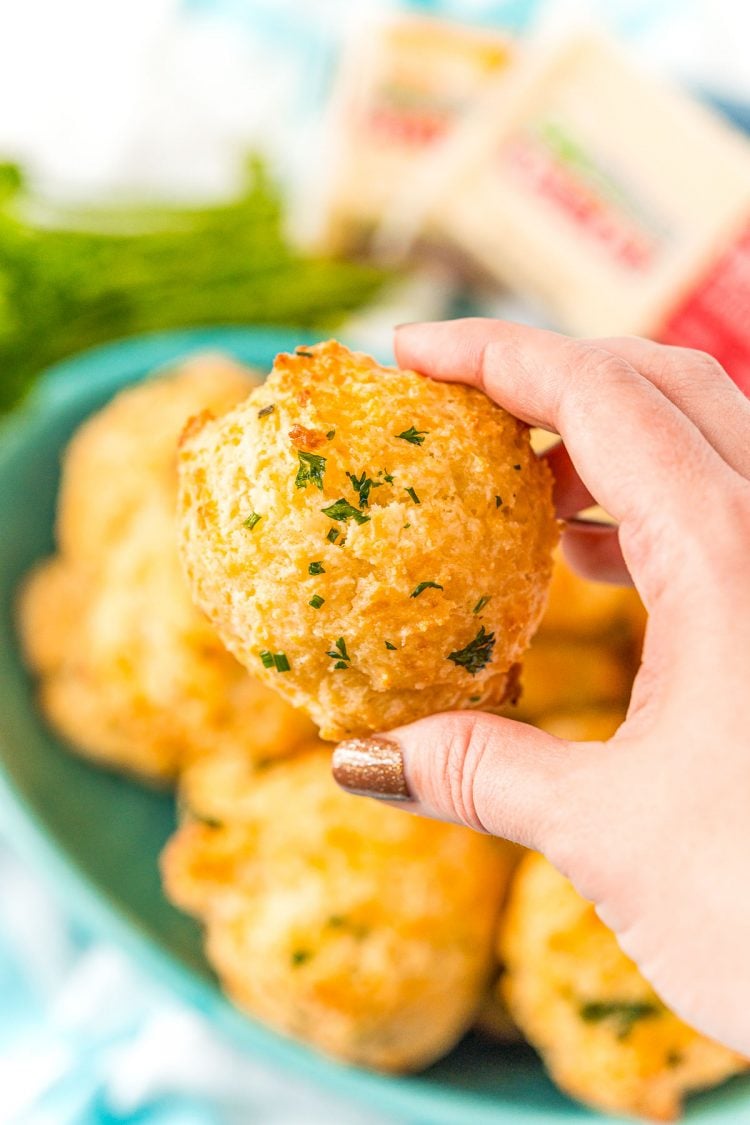 Woman's hand holding a cheddar biscuit.