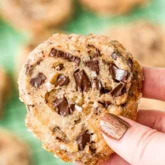 Woman's hand holding The Cookie (chocolate chip shortbread).