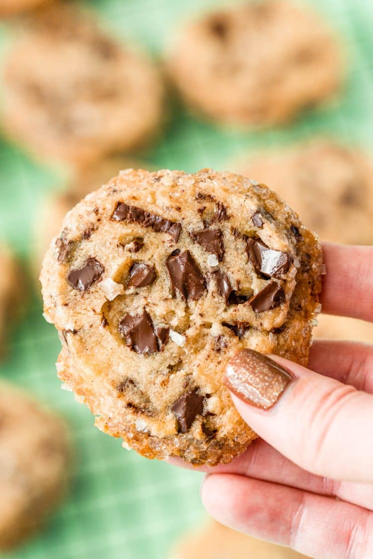 Woman's hand holding The Cookie (chocolate chip shortbread).