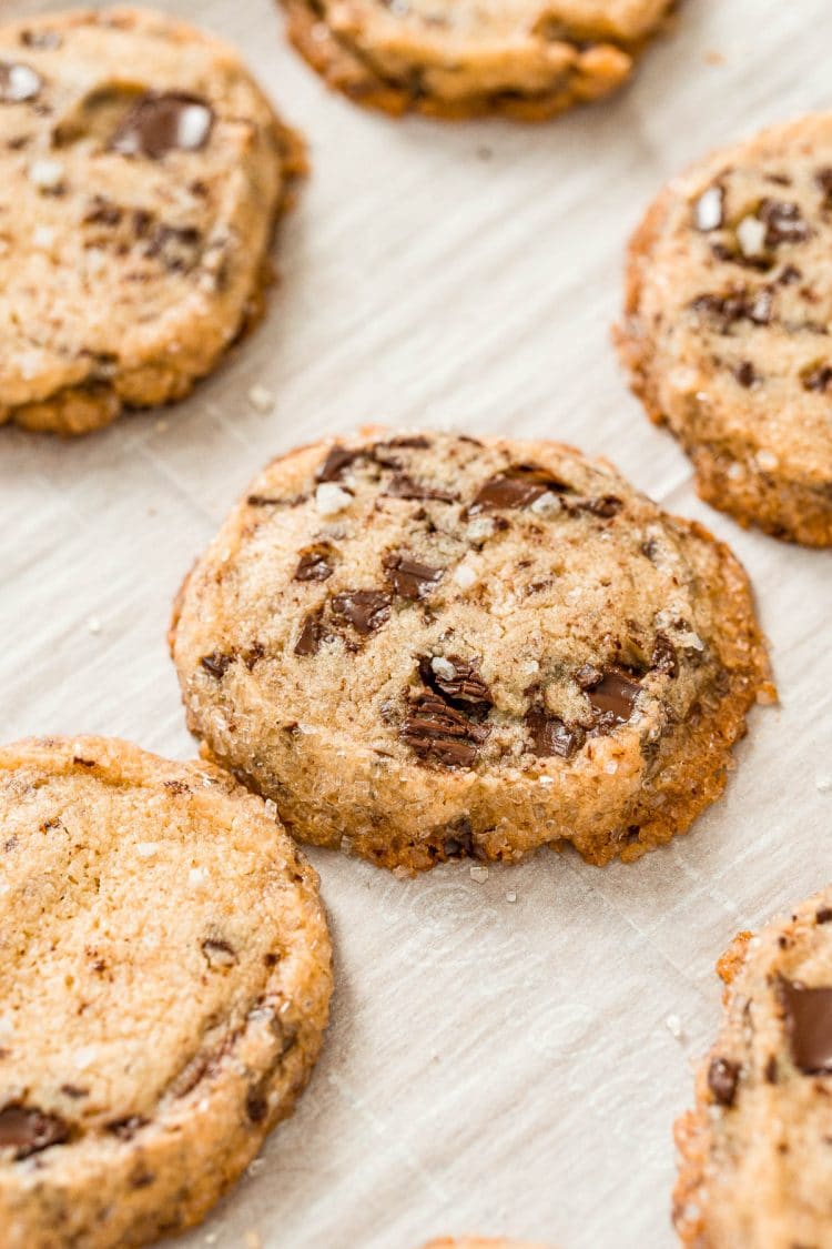 Close up photo of chocolate chip shortbread cookies.