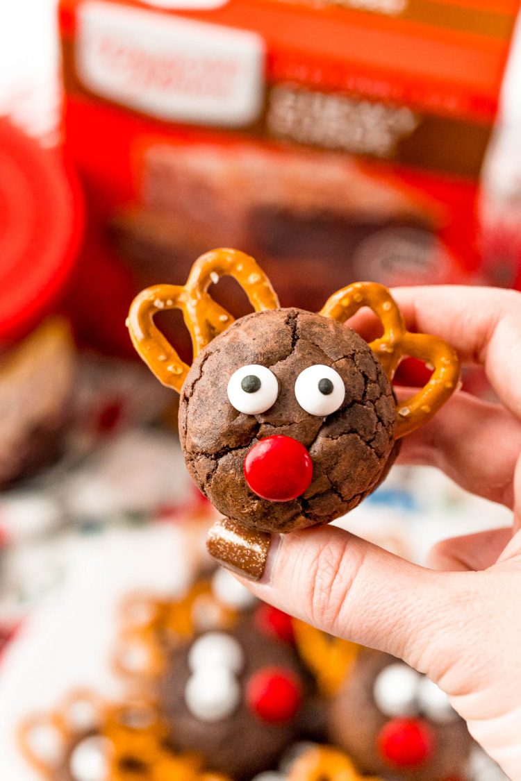 Woman's hand holding a reindeer cookie.