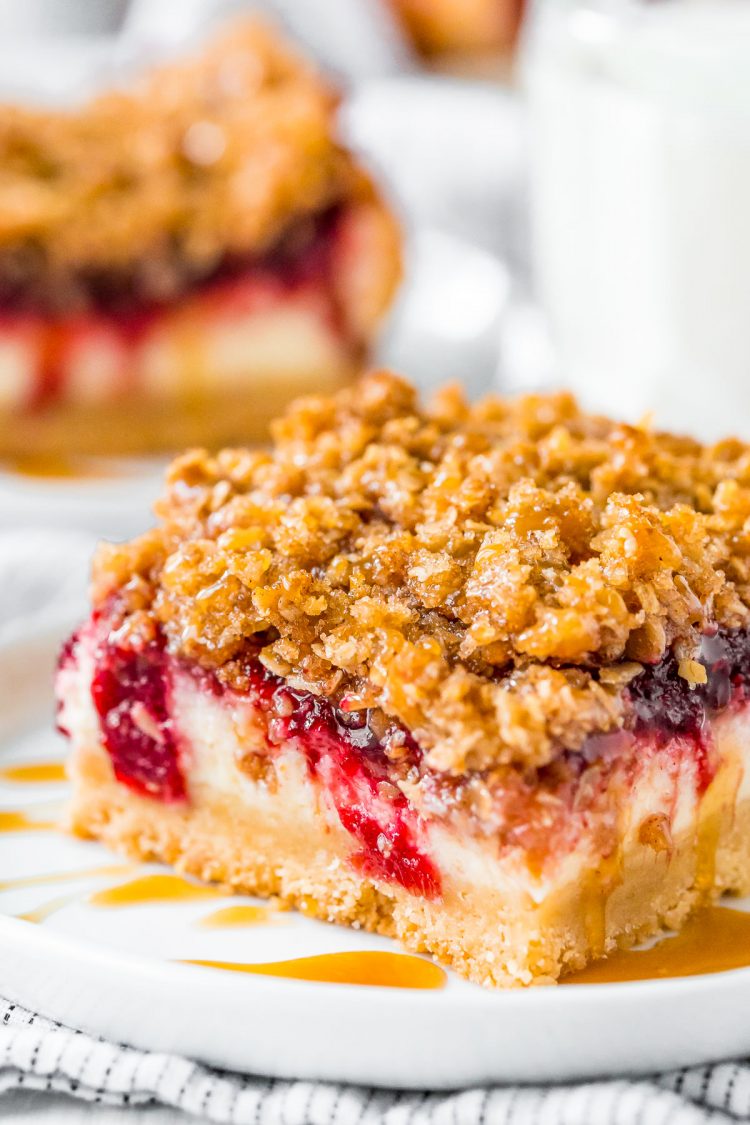 Close up photo of cranberry cheesecake bars.