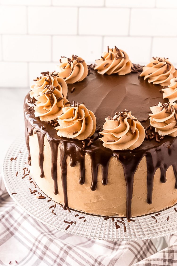 Cookie Butter Cake topped with chocolate ganache on a clear cake stand.