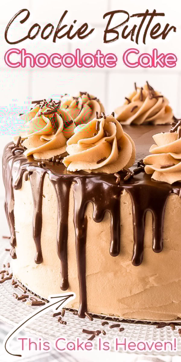 Cookie Butter Cake is made with a dense chocolate cake layered with cookie butter frosting and a rich chocolate ganache. If you love Peanut Butter and Chocolate Cake then this cookie butter version is going to blow you away! via @sugarandsoulco