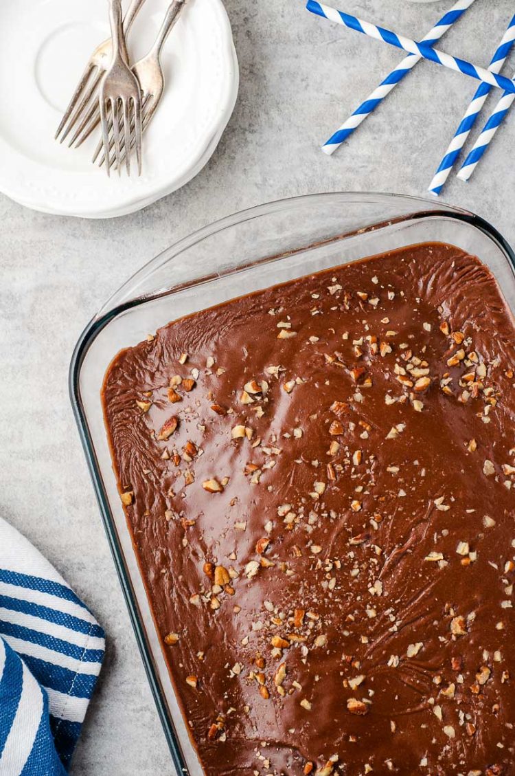 Overhead photo of a chocolate cake topped with nuts in a 9x13-inch cake pan.