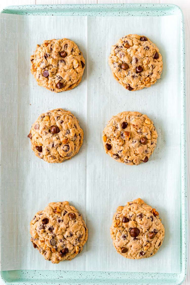 Overhead photo of chocolate chip walnut cookies on a baking sheet.