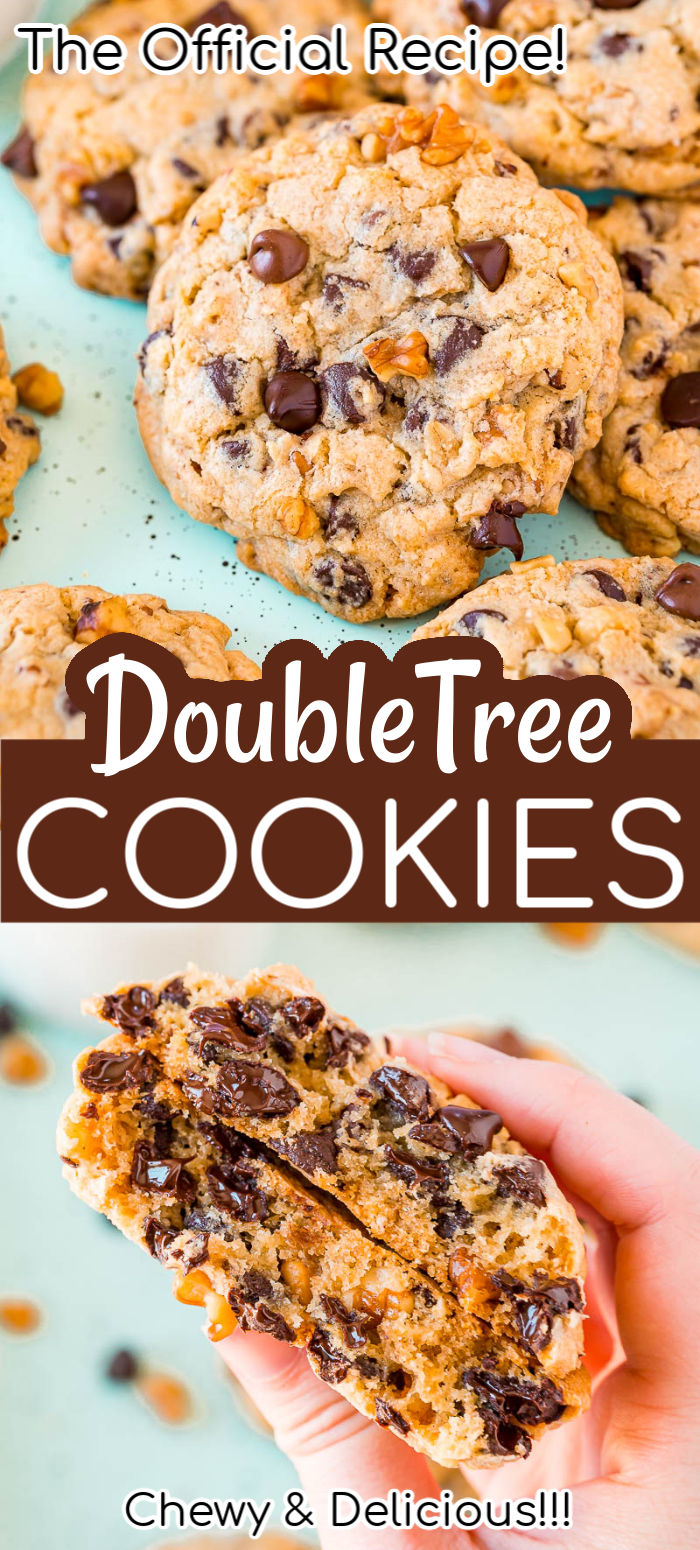 The official DoubleTree Cookie recipe that’s loaded with chocolate chips, chopped walnuts, a hint of cinnamon, and a touch of lemon for a delightfully chewy and mouthwatering treat everyone is obsessed with!
 via @sugarandsoulco