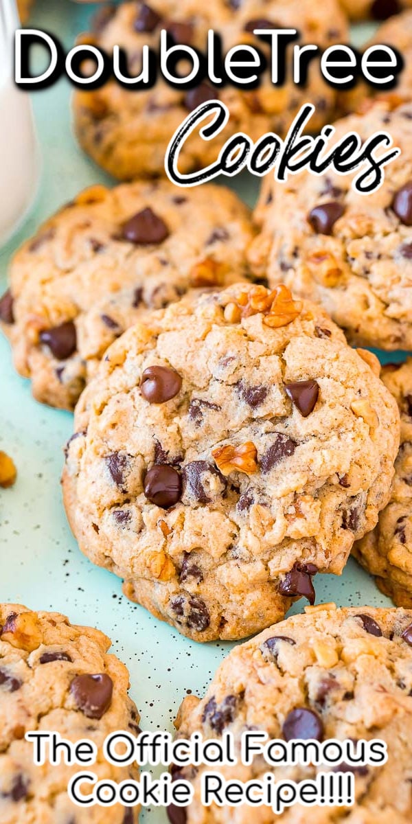 The official DoubleTree Cookie recipe that’s loaded with chocolate chips, chopped walnuts, a hint of cinnamon, and a touch of lemon for a delightfully chewy and mouthwatering treat everyone is obsessed with!
 via @sugarandsoulco