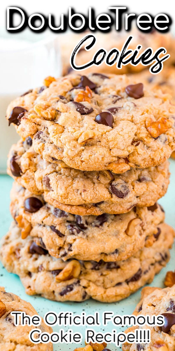 The official DoubleTree Cookie recipe that’s loaded with chocolate chips, chopped walnuts, a hint of cinnamon, and a touch of lemon for a delightfully chewy and mouthwatering treat everyone is obsessed with!
 via @sugarandsoulco