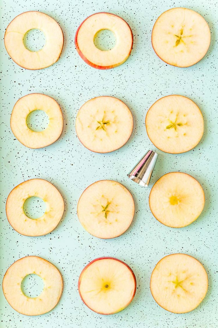 Round apple slices on a blue baking sheet being cored with a round piping tip.