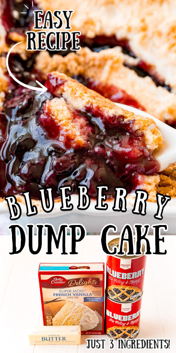 This Blueberry Dump Cake is an easy 3 ingredient dessert recipe that the whole family will enjoy! it's similar to a cobbler and perfect when topped with vanilla ice cream or whipped cream. via @sugarandsoulco