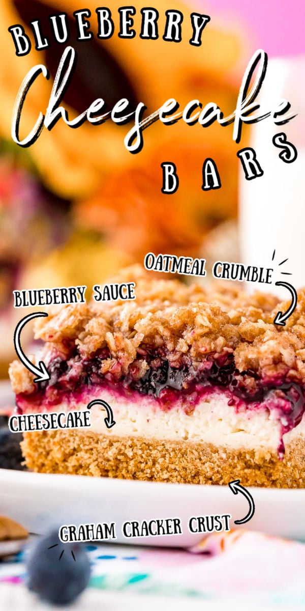 Blueberry Cheesecake Bars are fruity, creamy, decadent, and perfect for sharing! They're made of a graham cracker crust layered with cheesecake, blueberry filling, and topped with spiced oatmeal crumble. via @sugarandsoulco