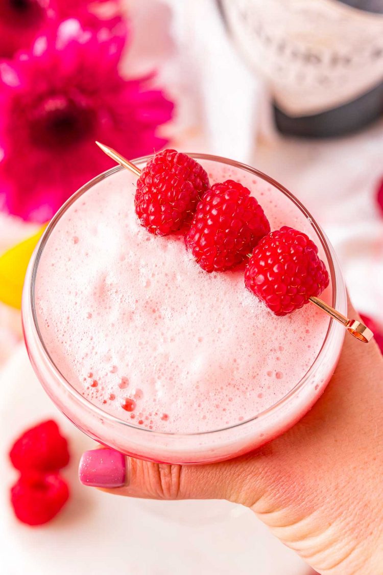 Woman's hand holding a clover club cocktail up to the camera.