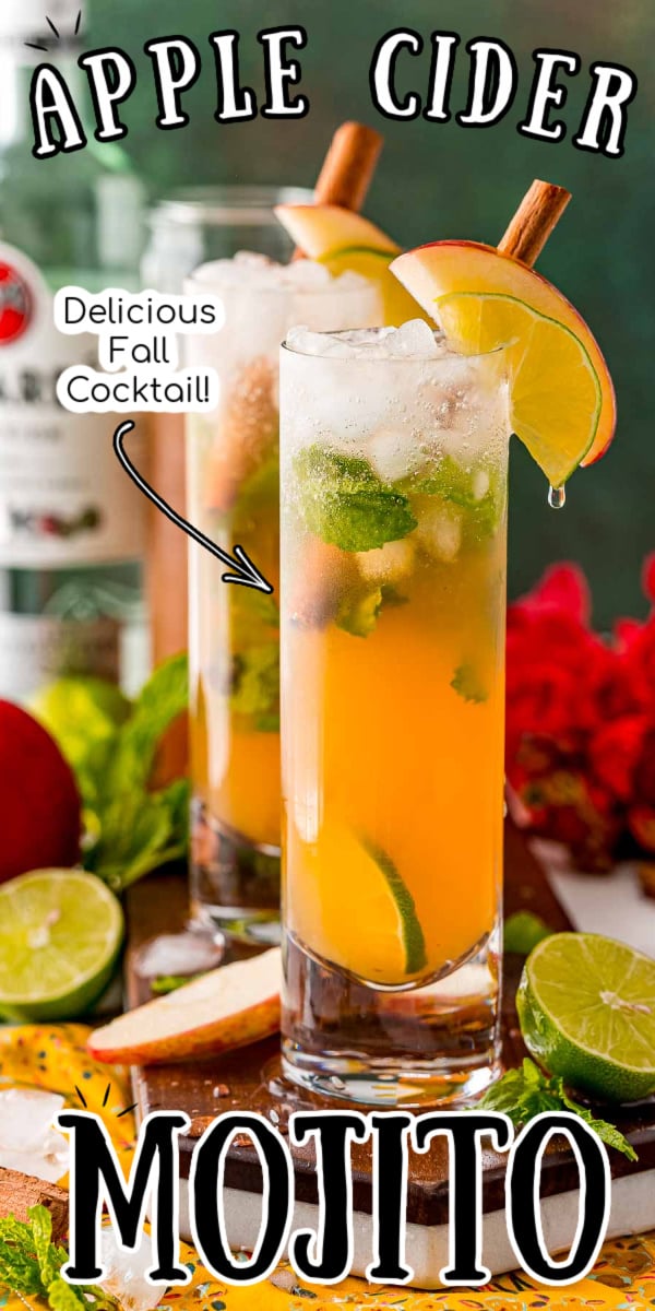 This Apple Cider Mojito recipe is my new favorite cocktail for fall! Spiced, vibrant, and slightly sweet, it has all the flavors of a classic rum mojito plus a hefty pour of apple cider. via @sugarandsoulco