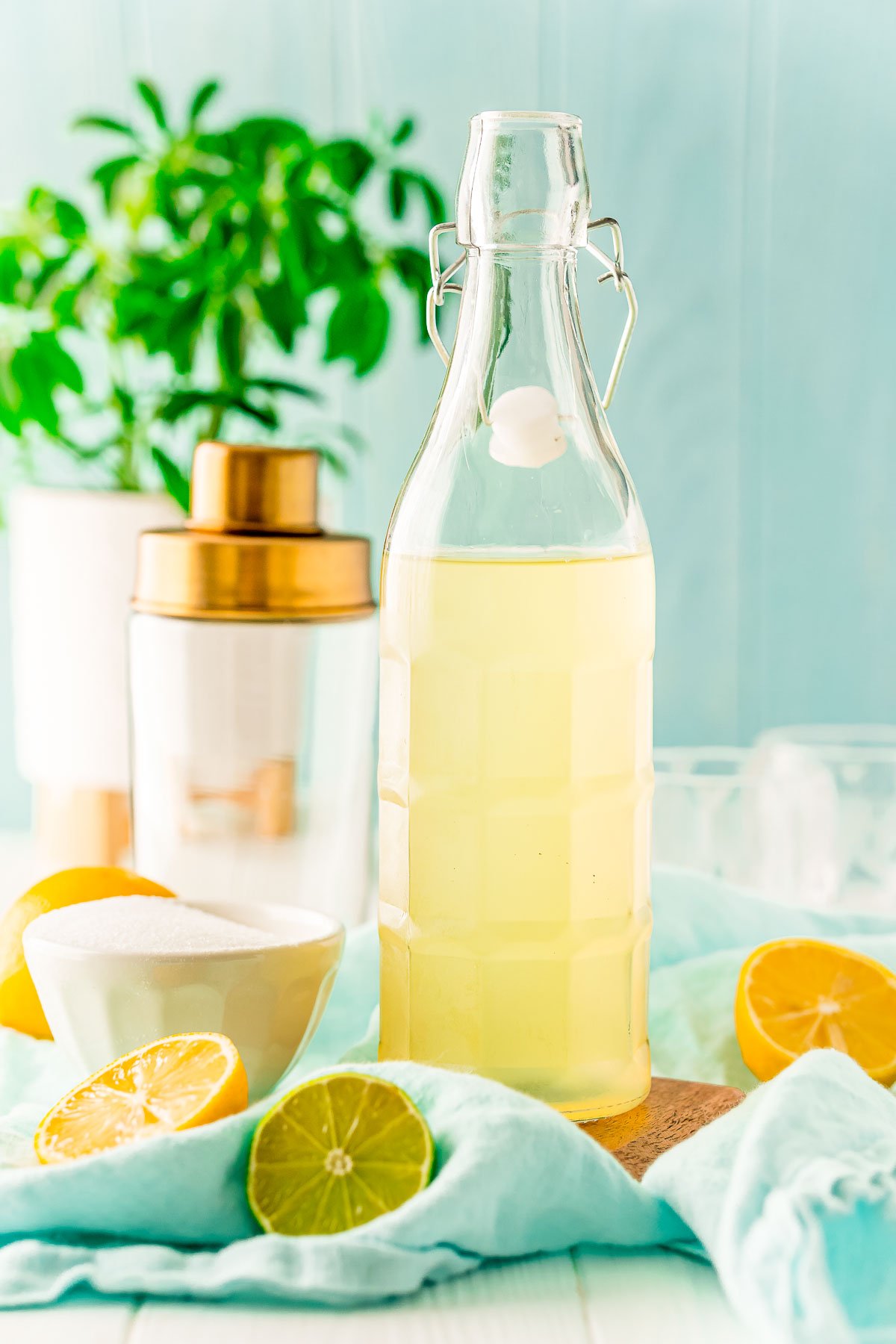 Bottle of homemade sour mix with lemons and limes around it and a cocktail shaker in the background.