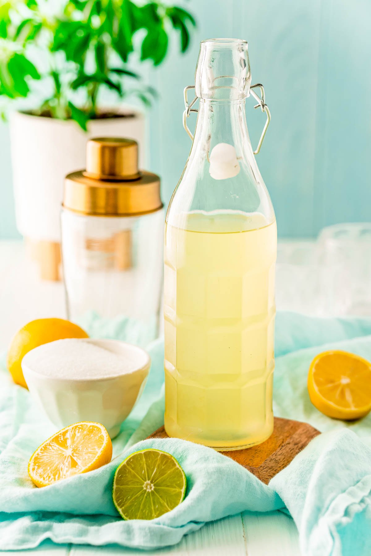 Bottle of homemade sour mix with lemons and limes around it and a cocktail shaker in the background.