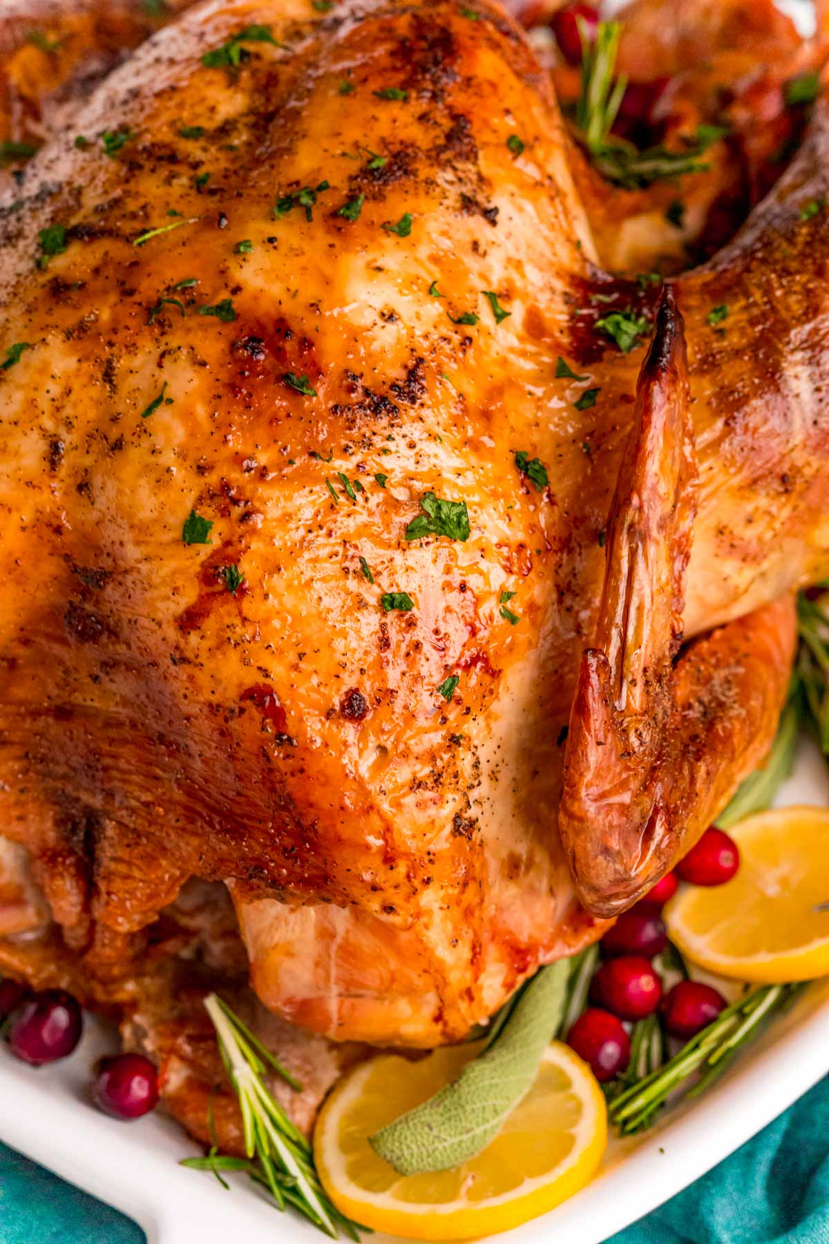 Close up photo of a roasted thanksgiving turkey.