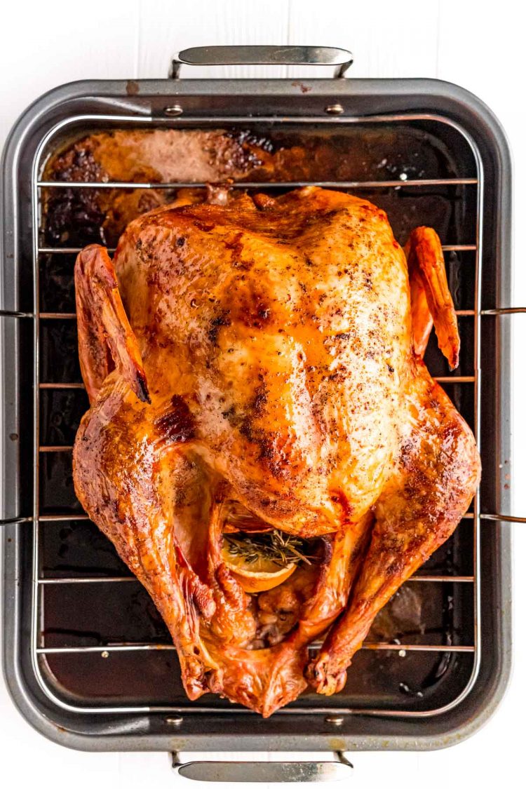 Overhead photo of a roasted turkey on a roasting pan.