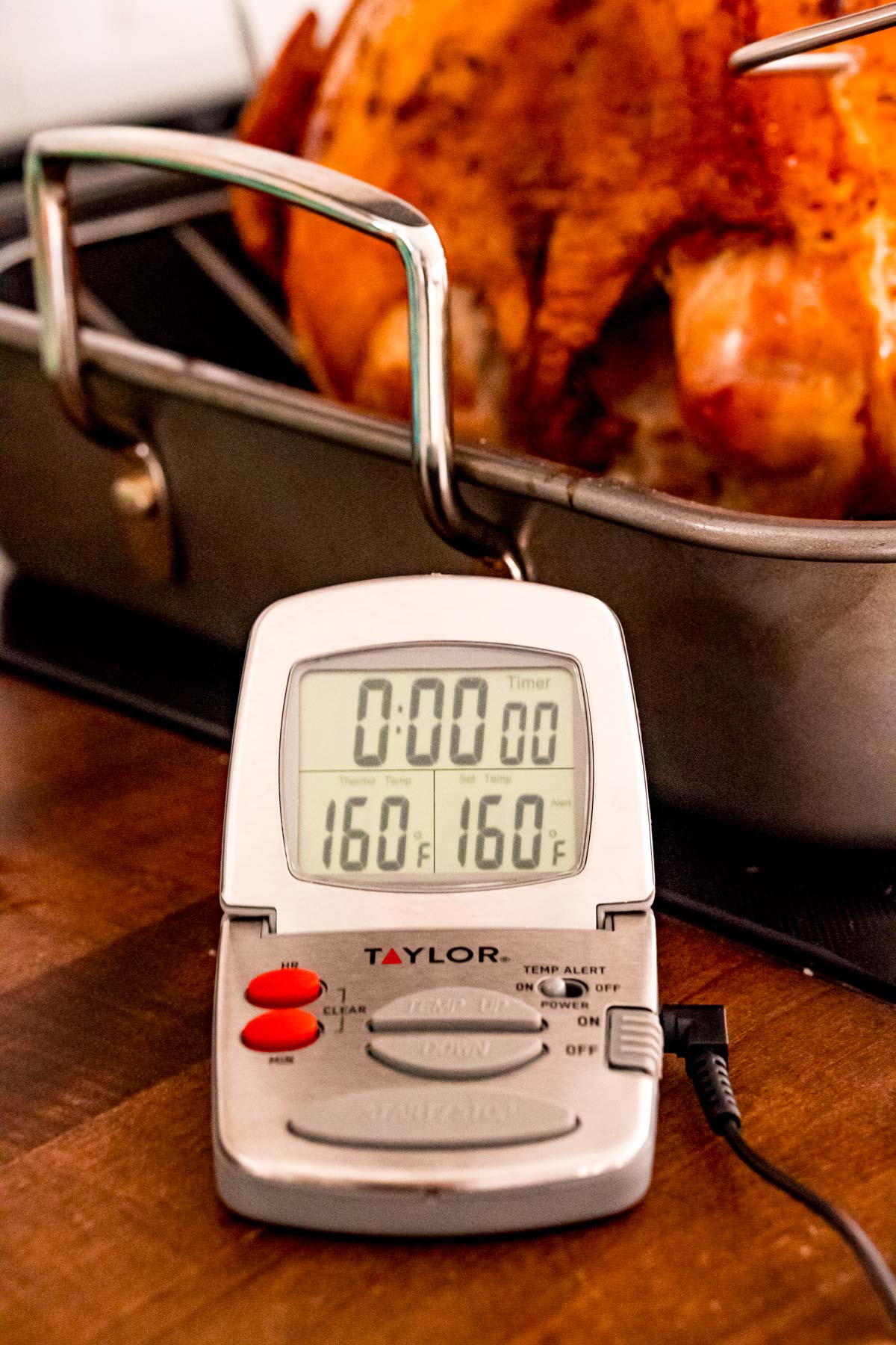 Digital thermometer giving a reading on a roasted turkey.