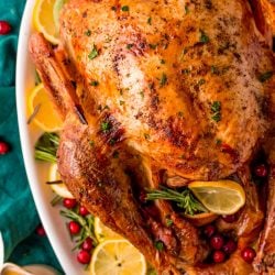 Overhead photo of a roasted turkey on a white platter with lemons, herbs, and cranberries around it.