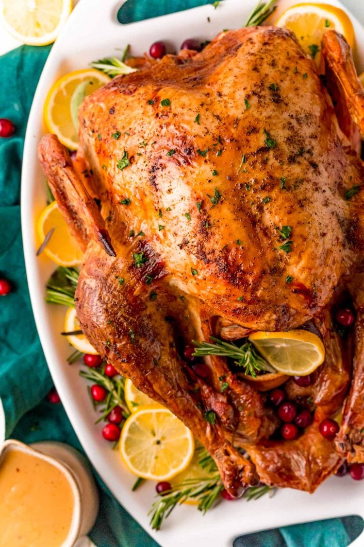 Overhead photo of a roasted turkey on a white platter with lemons, herbs, and cranberries around it.