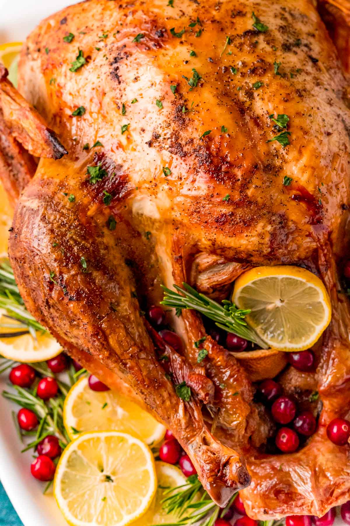 Close up photo of a Thanksgiving turkey on a white platter.