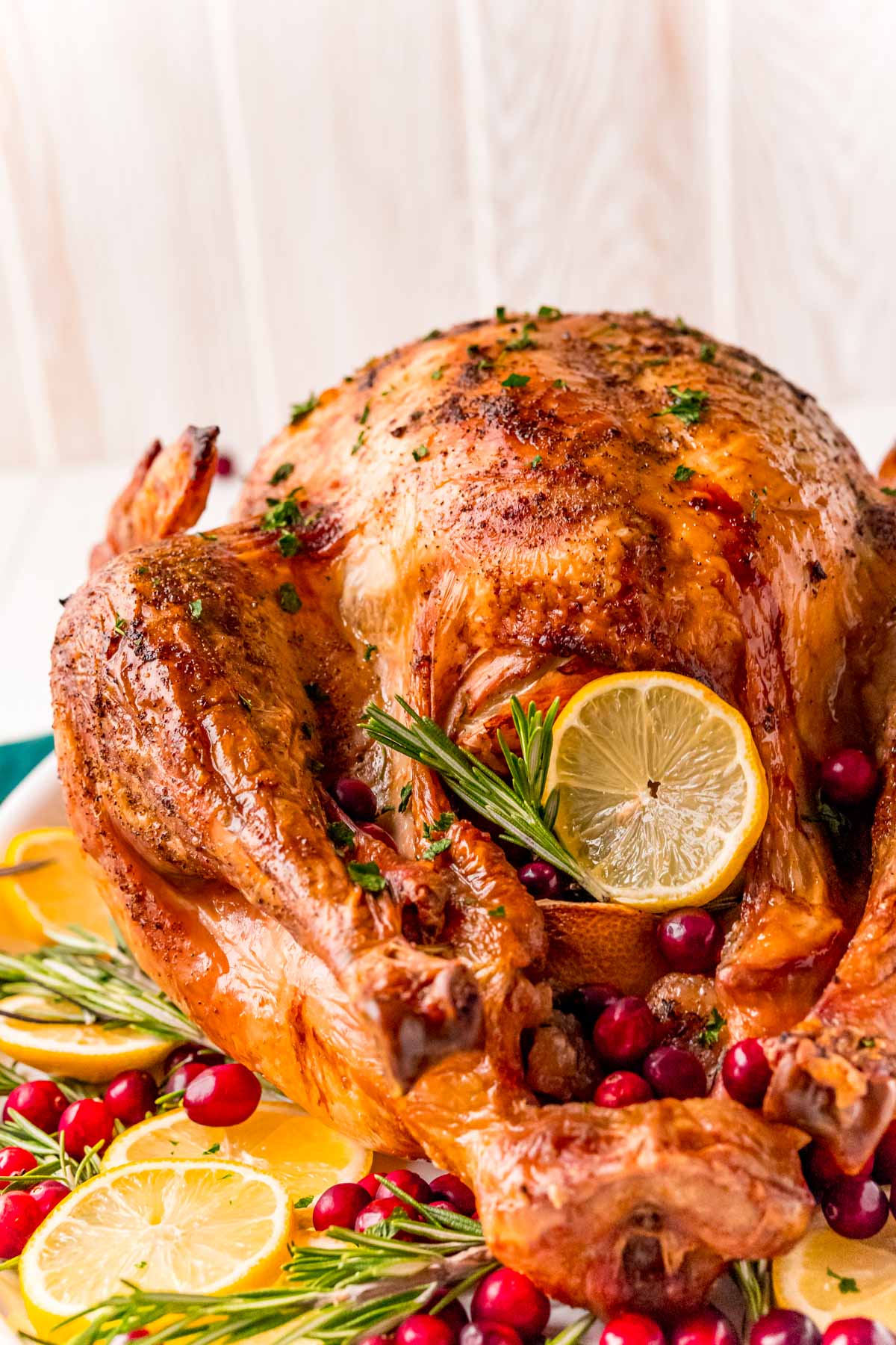 Close up photo of the bottom end on a turkey on a white platter.