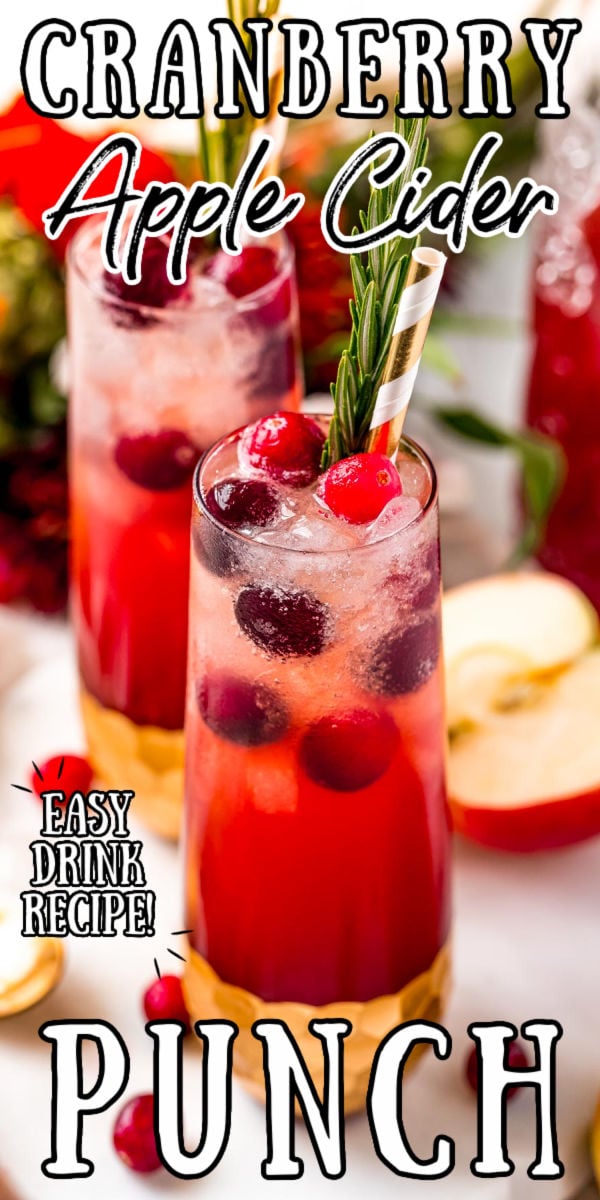 Cranberry Apple Cider Punch is the holiday punch recipe that’ll have everyone saying “cheers”! Made with apple cider, cranberry juice, pineapple juice, bitters, and a splash of club soda, it’s full of fall flavor. via @sugarandsoulco