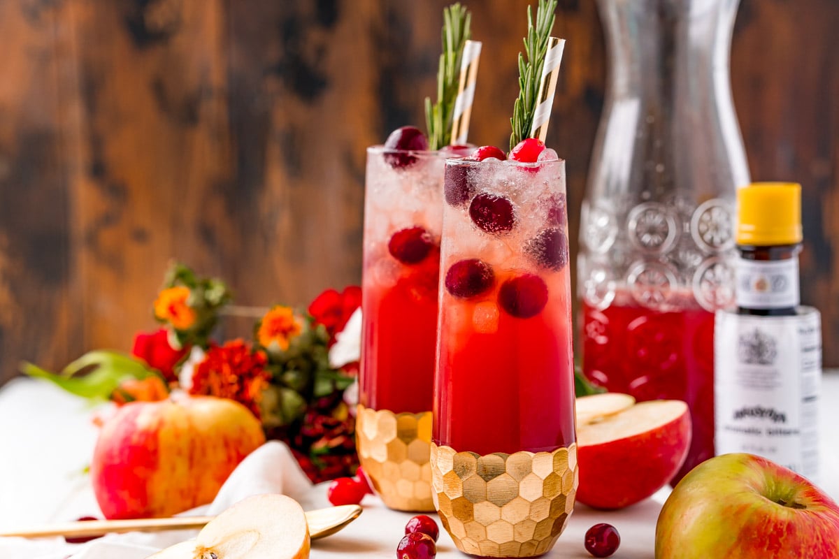 Cranberry Apple Cider Punch