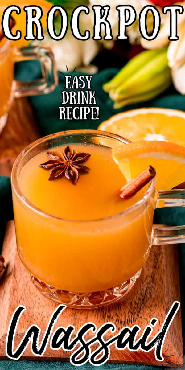 Denne Varme Wassail-oppskriften er en deilig drink laget av varm eplecider, juice, brunt sukker og krydder. Denne varme feriedrinken er laget i slow cooker for enkel og er perfekt for servering på sammenkomster! via @ sugarandsoulco