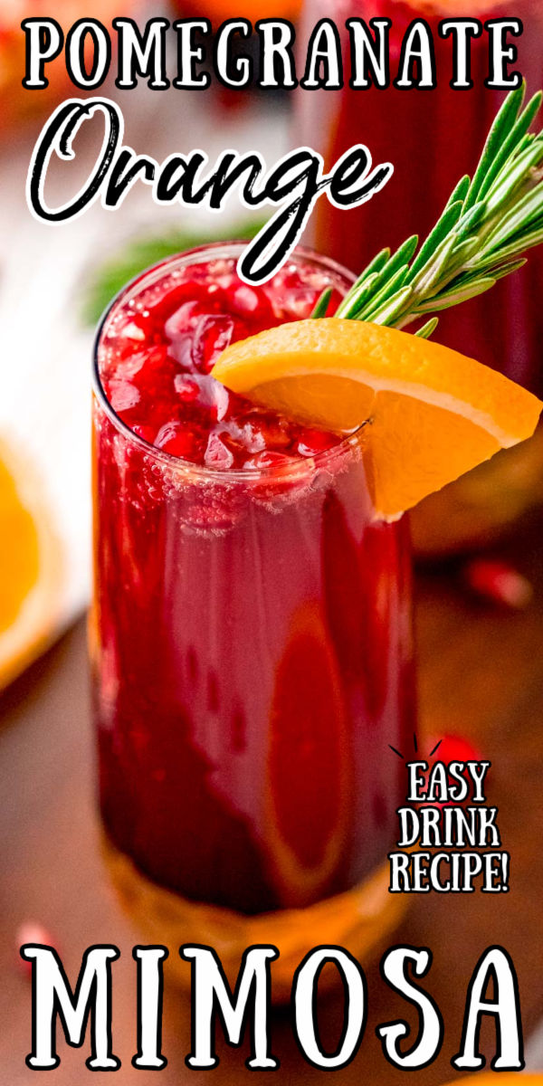 This Orange Pomegranate Mimosa is the perfect cocktail for any upcoming brunch dates. Made with Pomegranate juice, orange juice, and prosecco this is the perfect fruity drink to serve during your winter holiday get-togethers! via @sugarandsoulco