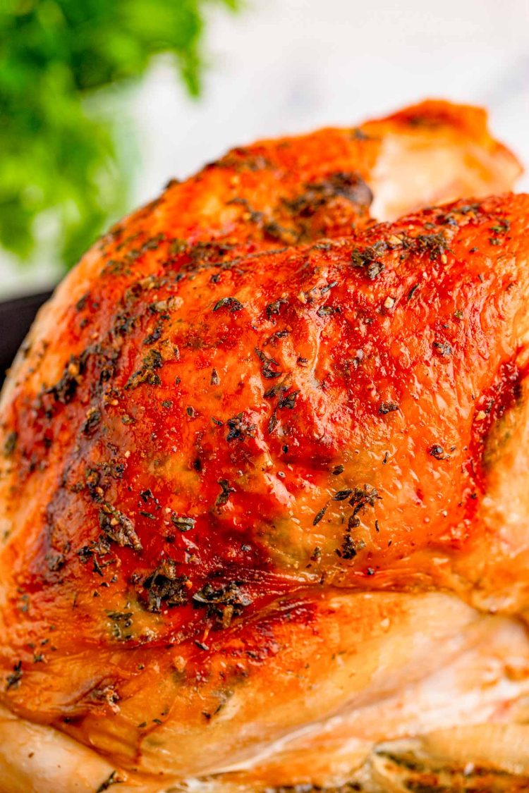 Close up photo of an oven roasted turkey breast.