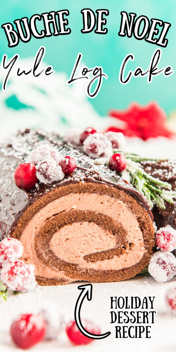 Macadamia and milk chocolate Yule log cake (Bûche de Noël) - The Pastry Nerd