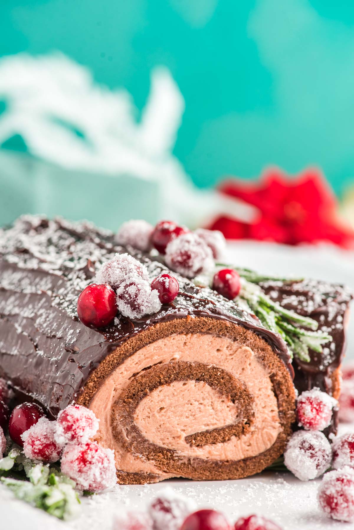 Close up photo of a buche de noel on a white plate.