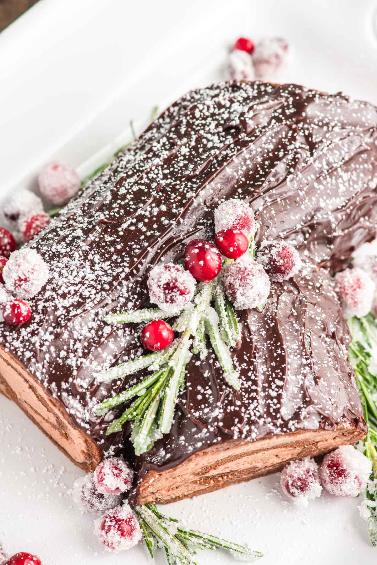 Overhead photo of a yule log cake on a white serving platter.