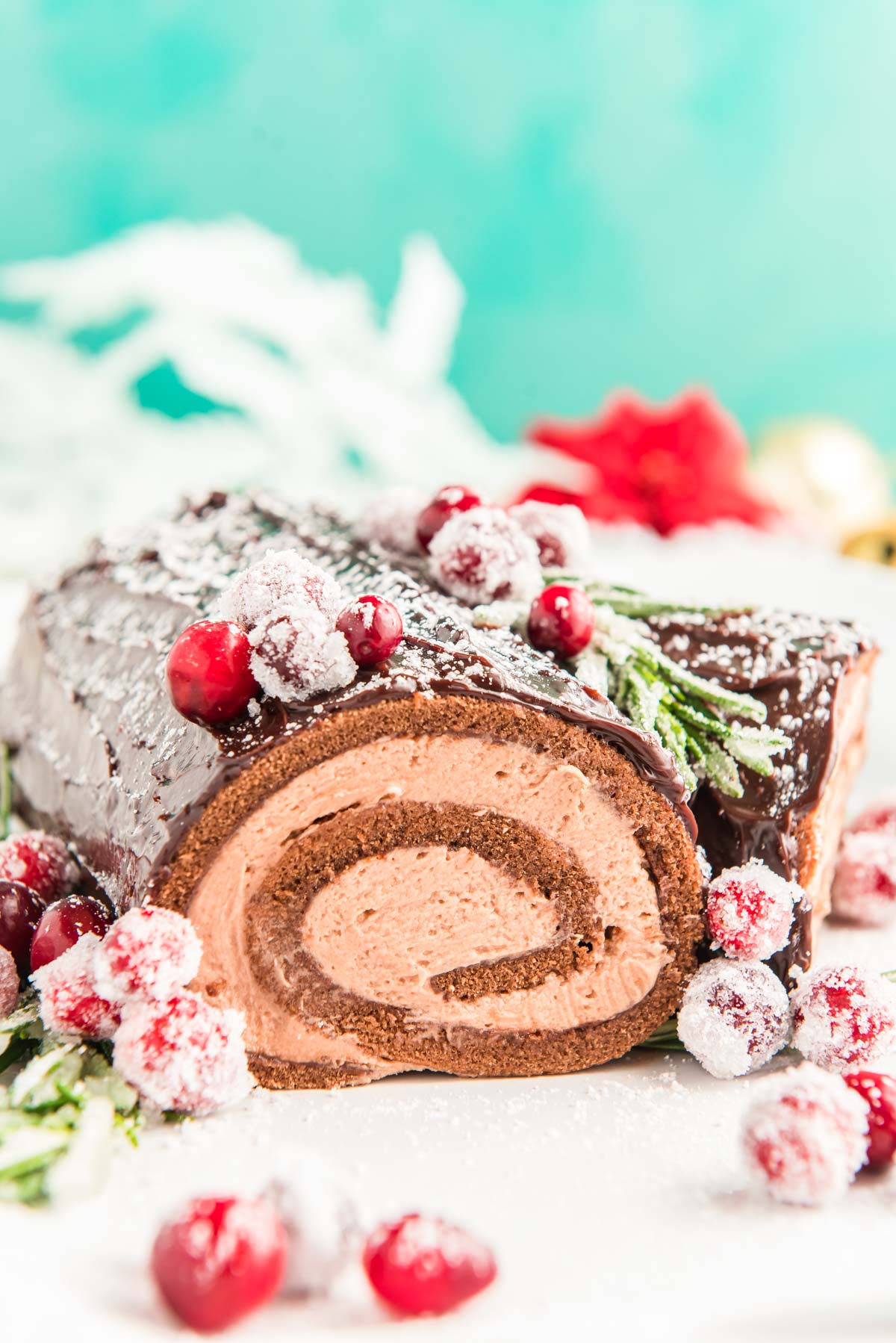 Close up photo of a yule log cake on a white plate.