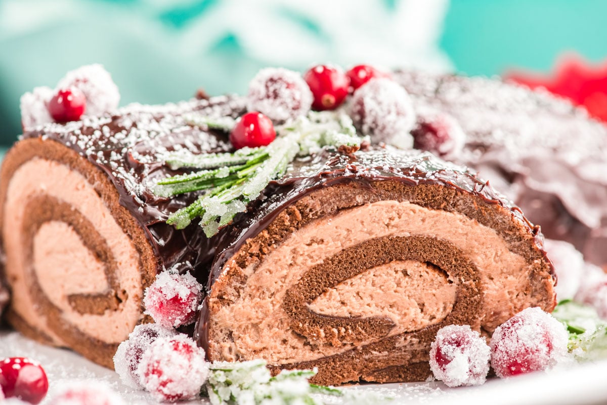 A close up photo of a yule log cake garnished with rosemary and cranberries and powdered sugar.