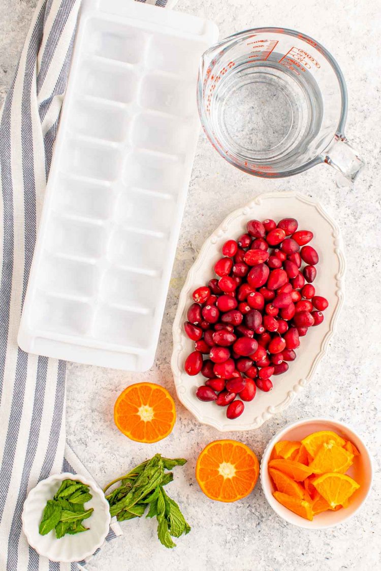 Overheat photo of ingredients to make decorative holiday ice cubes.