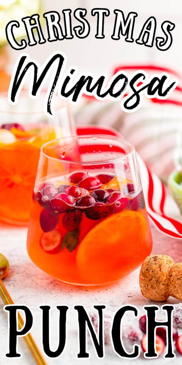 If you're looking for a deliciously easy drink recipe for the upcoming holiday season then this Christmas Mimosa Punch is exactly what you are looking for. It's fruity, easy, and serves a bunch so it's perfect for a Christmas brunch. via @sugarandsoulco