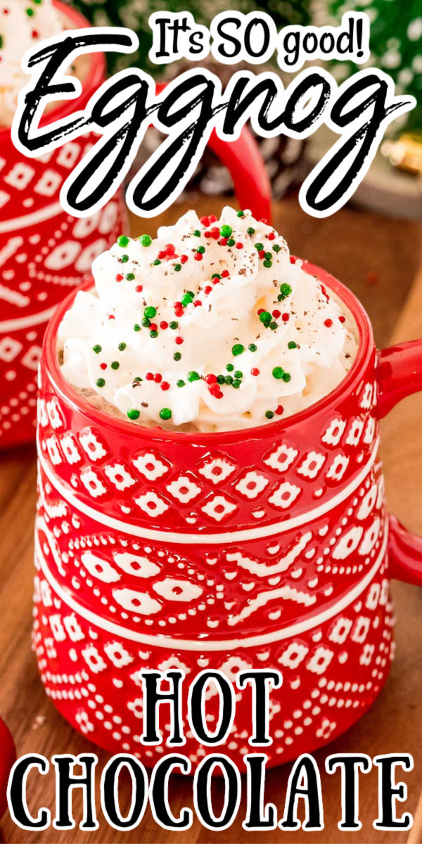 Eggnog Hot Chocolate combines two winter favorites into one rich, creamy, and delicious beverage that you'll want to sip all season long!  via @sugarandsoulco