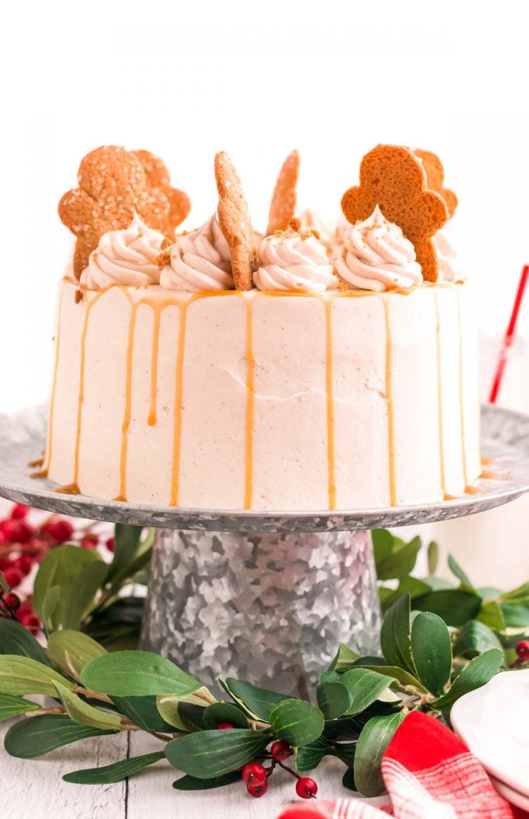 Close up photo of a gingerbread cake on a metal cake stand.