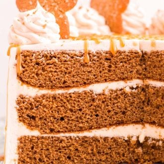 Close up photo of a three layer gingerbread cake that have been cut into.
