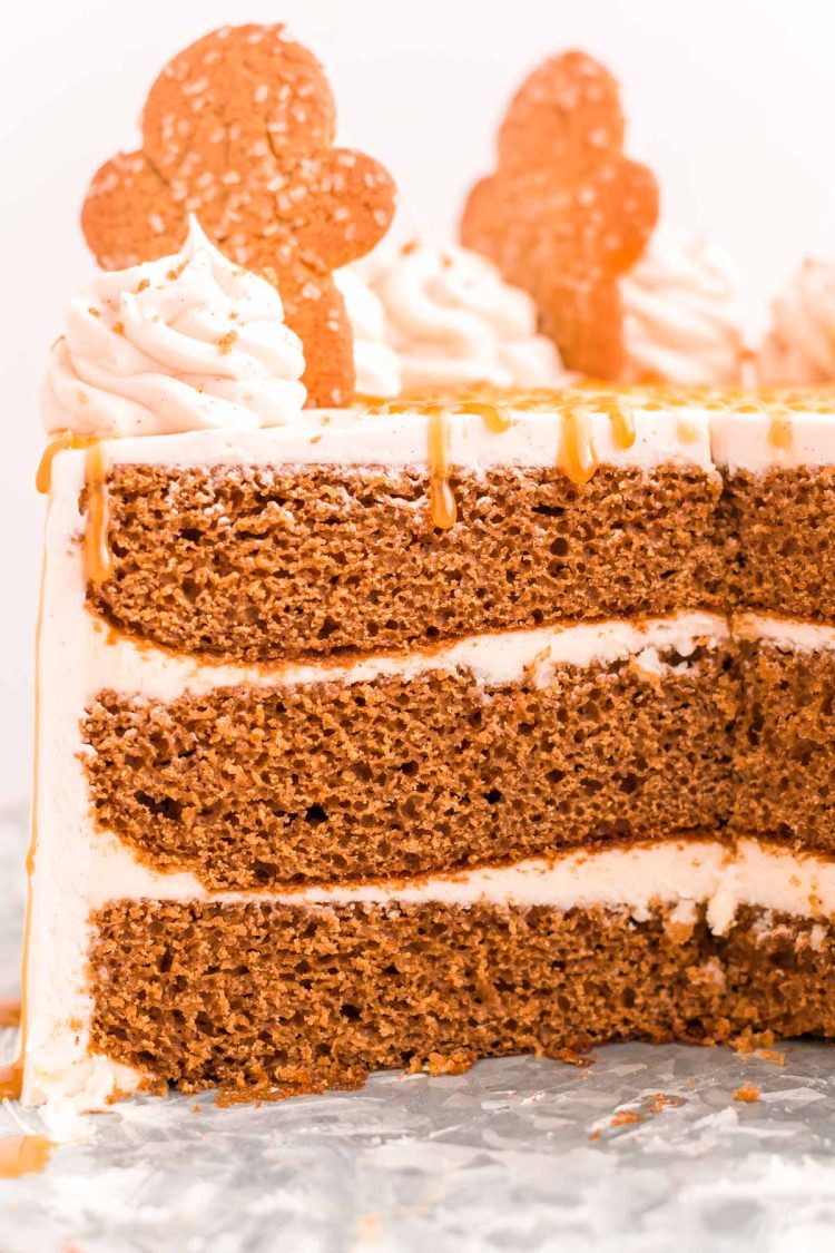 Close up photo of a three layer gingerbread cake that have been cut into.