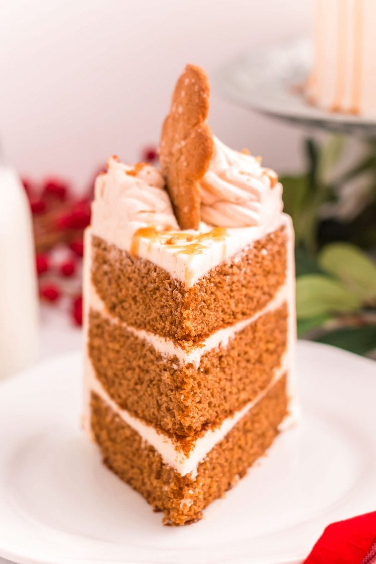 Close up photo of a slice on gingerbread cake on a white plate.