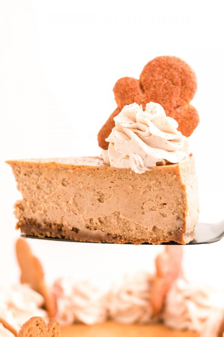 A slice of gingerbread cheesecake on a cake server being lifted away from the rest of the cheesecake.