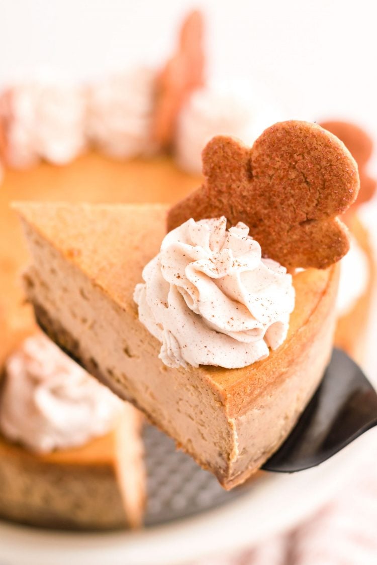 A slice of gingerbread cheesecake on a cake server being pulled away from the rest of the cheesecake.