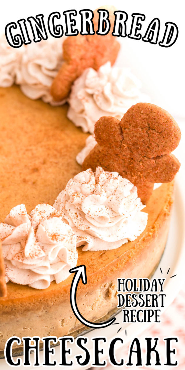 Creamy, delicious, and absolutely bursting with holiday flavor, this Gingerbread Cheesecake is a holiday must! With a gingersnap crust, creamy spiced filling, and topped with tasty ginger whipped cream it's perfect for the holidays! via @sugarandsoulco