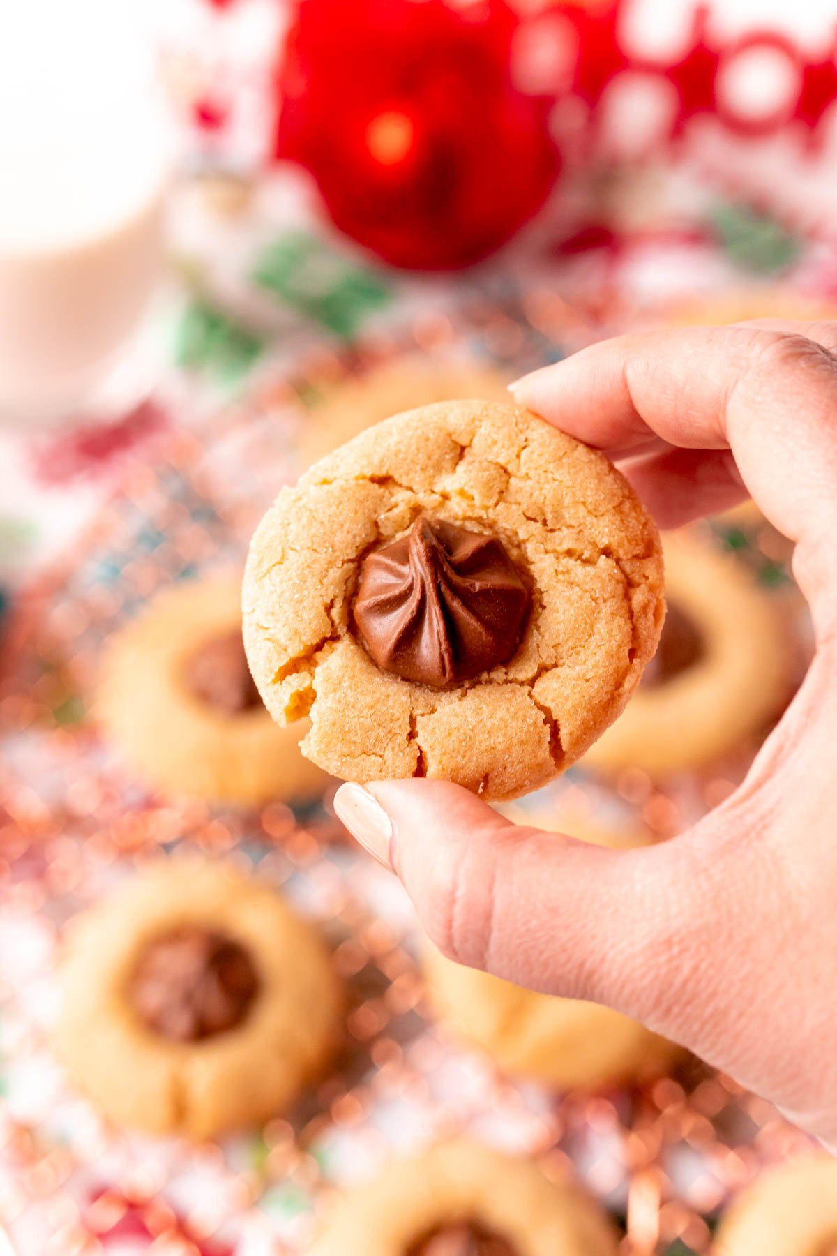 Close up photo of a woman's hand holding a peanut butter blossom up to the counter.