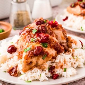 Close up photo of cranberry chicken on a bed of rice on a white plate.
