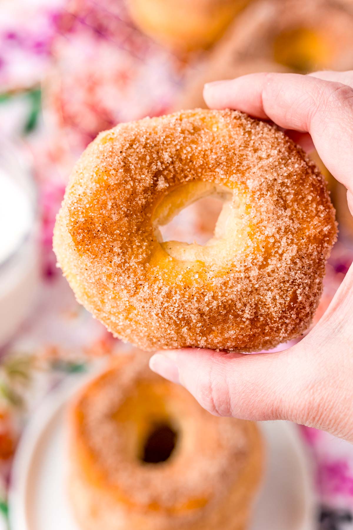 A woman's hand holding a cinnamon sugar donut.